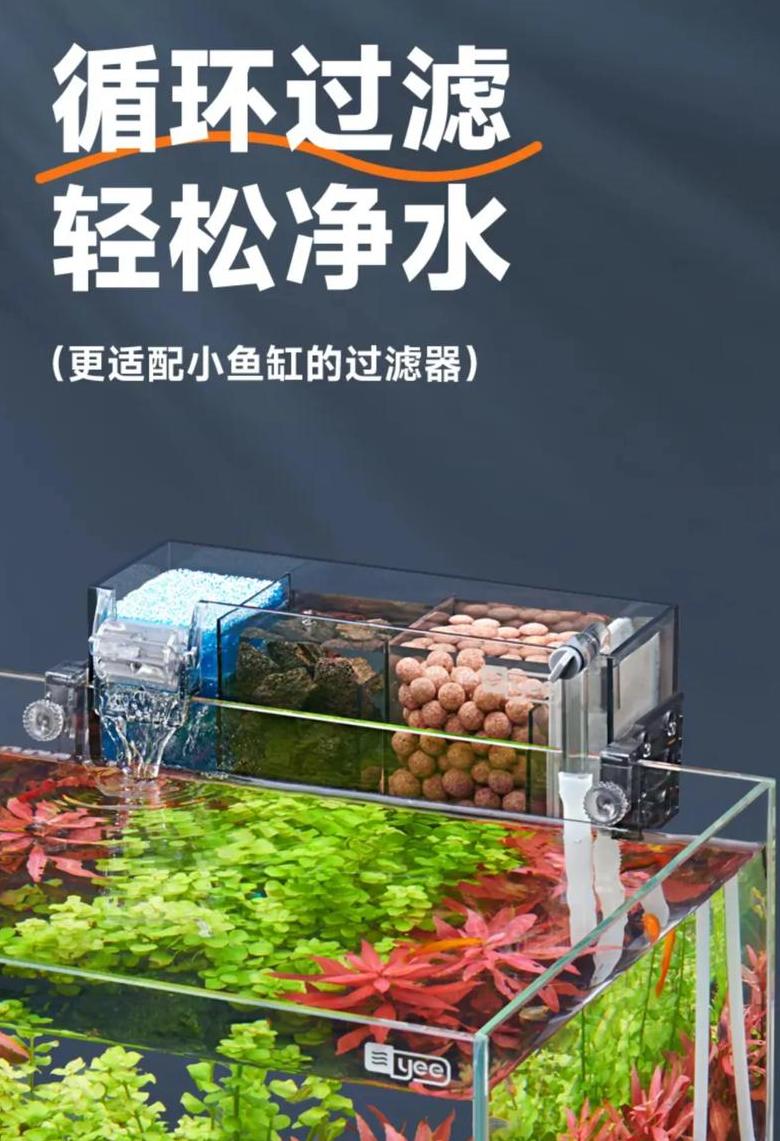 鱼缸水质净化攻略：三种有效方法解析