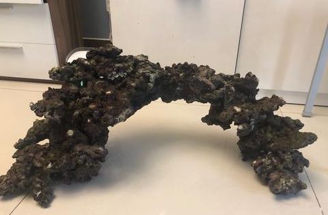 鱼缸珊瑚骨与火山石：pH值稳定小技巧