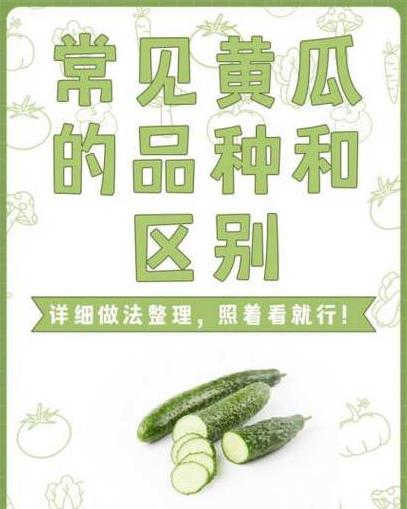 8g512和16g512区别
