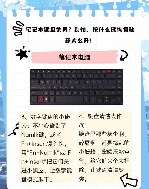 Win11键盘失灵？这三键快速恢复！
