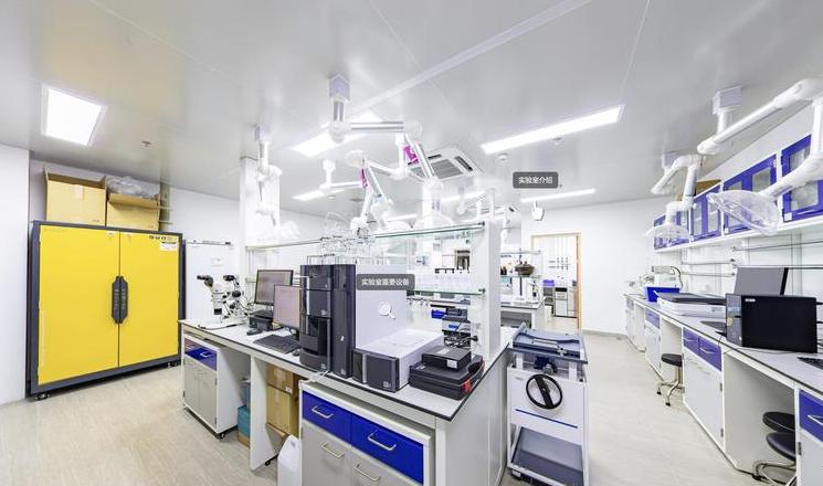 虚拟化学实验与实验室实验：优势互补与教学创新