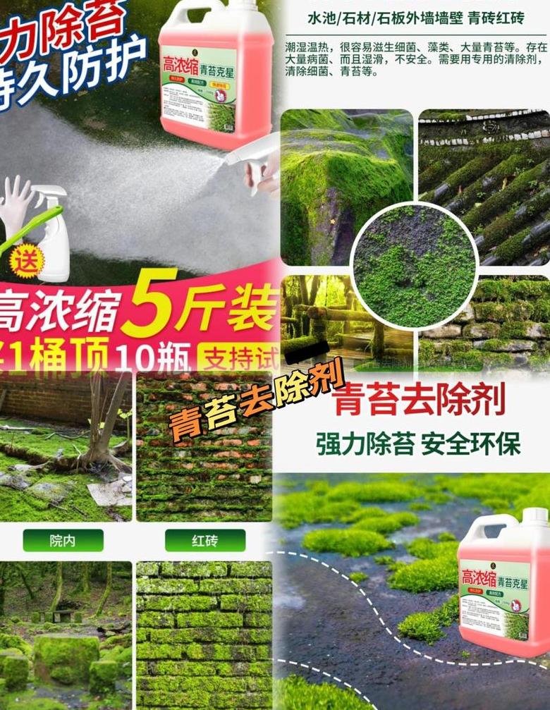 鱼塘水质变绿/青苔清除攻略：高效环保药剂及实用方法