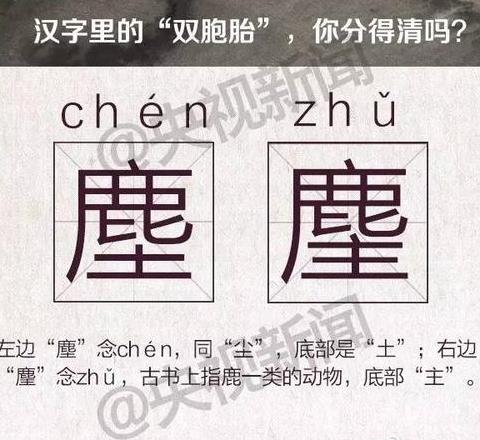 祟和崇的读音一样吗