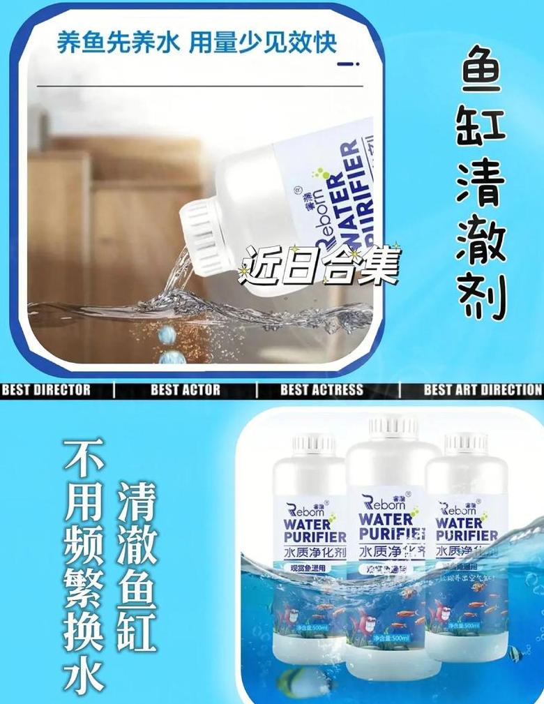 鱼缸水质净化：净水剂还是硝化细菌？