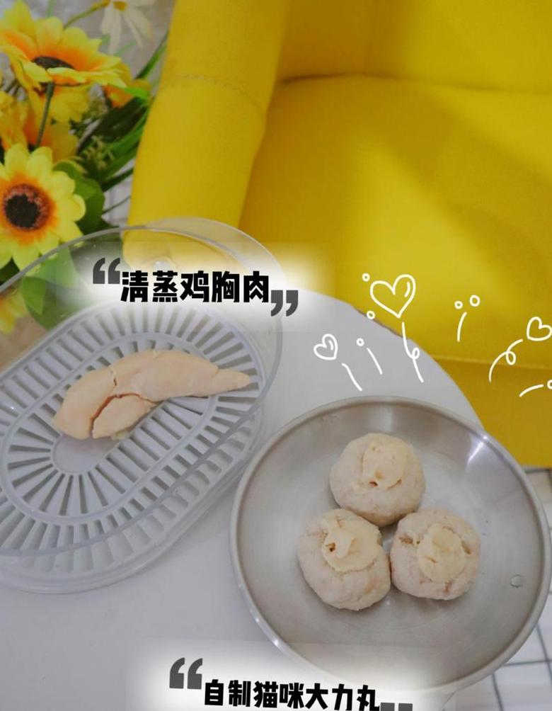 给猫做肉需要用破壁机吗