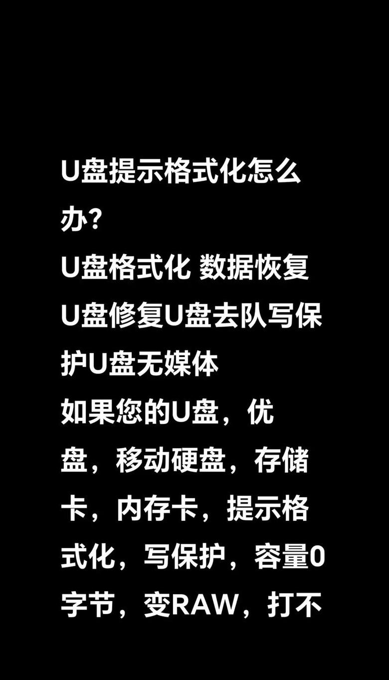 U盘格式化后数据恢复攻略