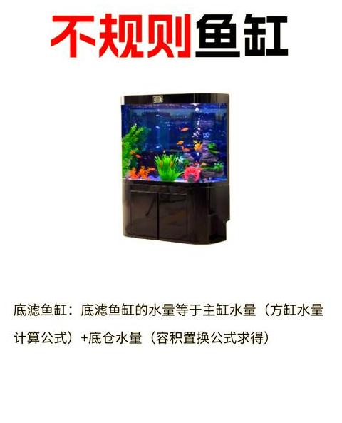 鱼缸水质改善：三招让鱼缸水清澈如镜