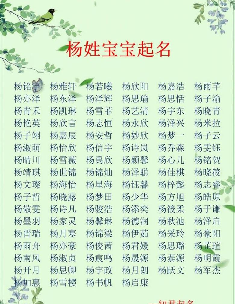 2024杨姓宝宝取名宝典：经典名字解析与灵感集锦
