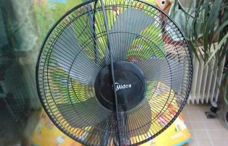 戴尔笔记本风扇噪音大？原因及解决方法一览