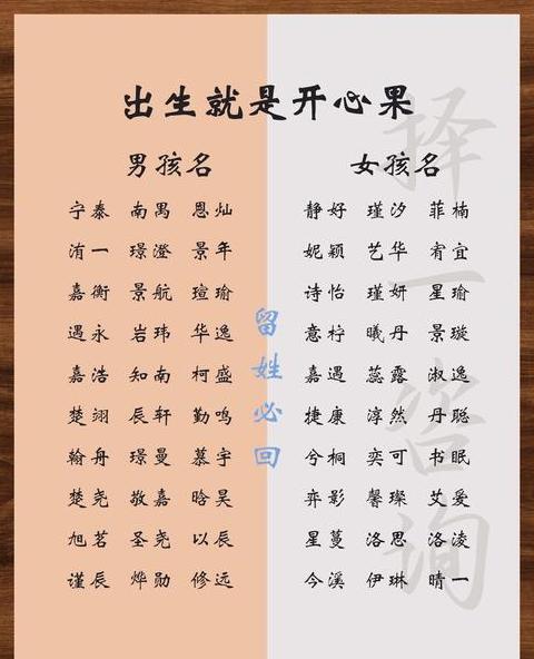 2024年龙年男孩名字精选大全