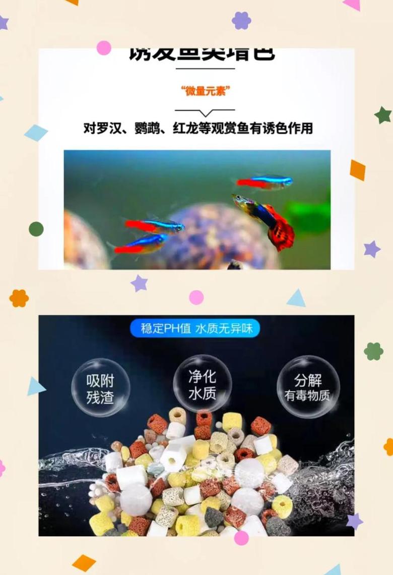 蝴蝶鲤养殖：火山石与珊瑚骨的优劣对比