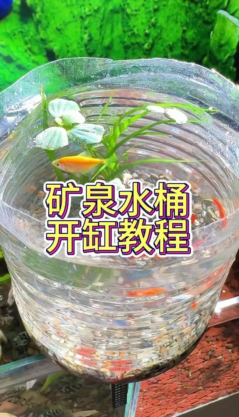鱼缸放净水片正确用法