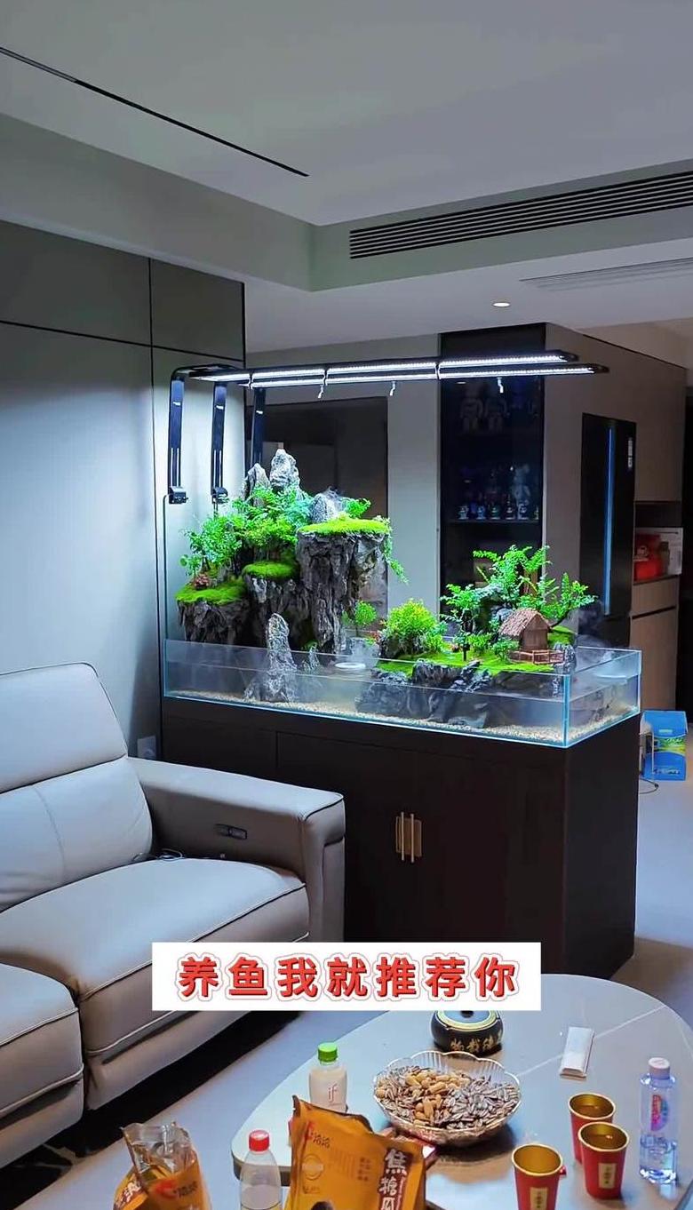 鱼缸水质提升指南：植物、泡泡剂与过滤器选择