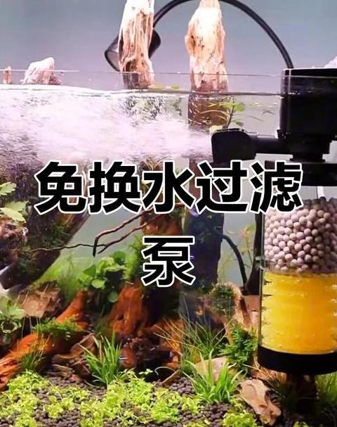 鱼缸底滤滤材种类及实用选择指南