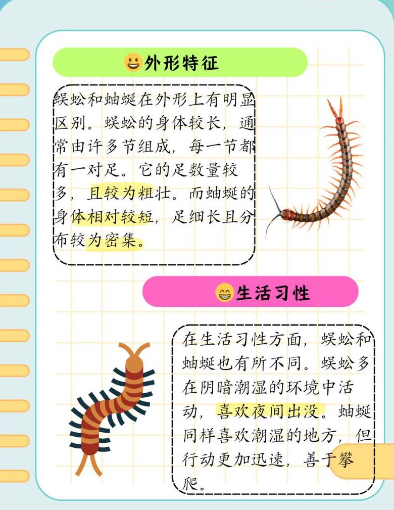 iqoo1012G 256Gvs16G 256G：内存差异与性价比解析