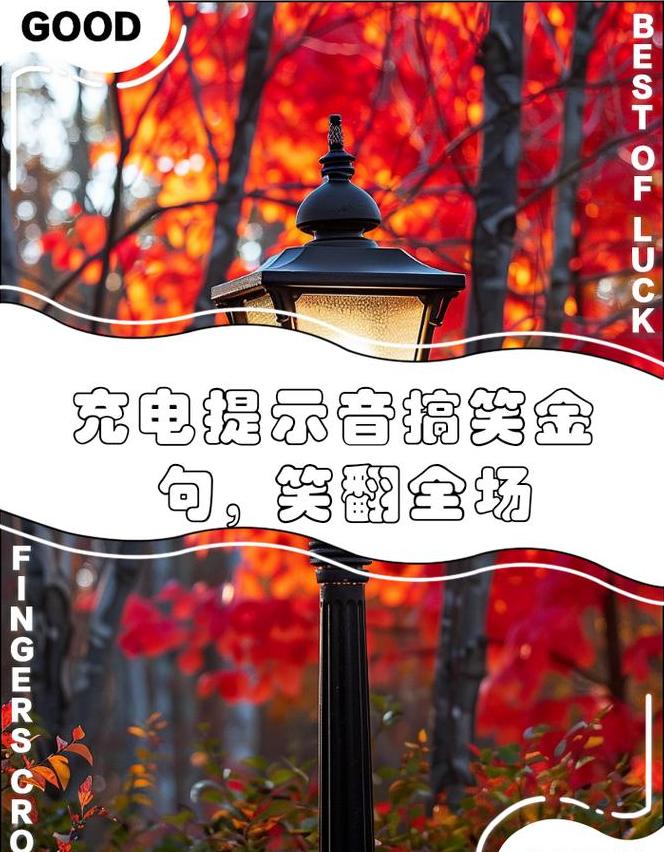 充电提示音充满电句子